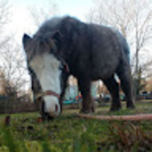 Meet your Posher, Jada